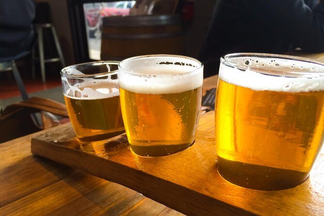 Bike & Brew: Beautiful Denver Downtown Tour by E-Bike or Bicycle - Who Should Consider This Tour?