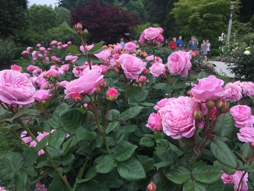 Bike Portland: Bridges, Neighborhoods, Poetry, and Roses - The Itinerary in Detail