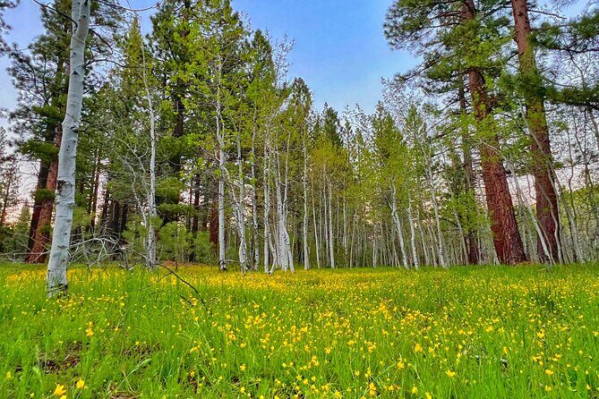 Bike Rental in South Lake Tahoe - The Range of Trails and Routes