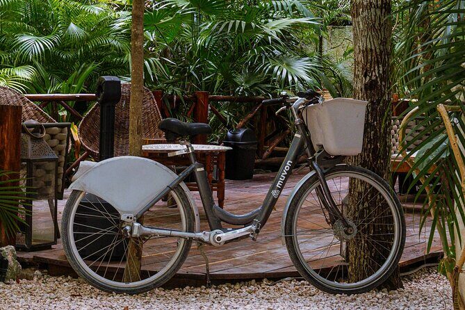 Bike Rental in Tulum downtown - Who Should Consider This?