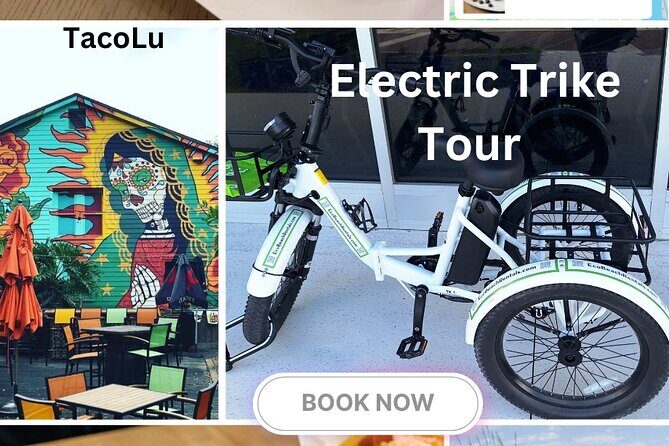 Bike Ride Through Ponte Vedra Beach Private Tour Florida - Experience Quality and Value
