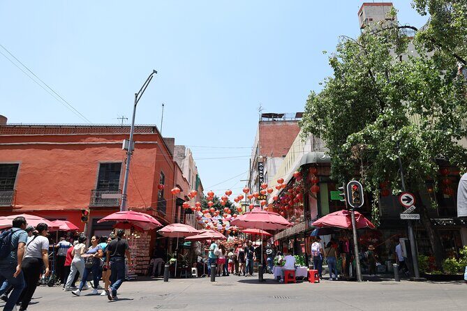Bike Tour through Chapultepec, Reforma and the Zócalo / Mexico - Who Will Love This Tour?
