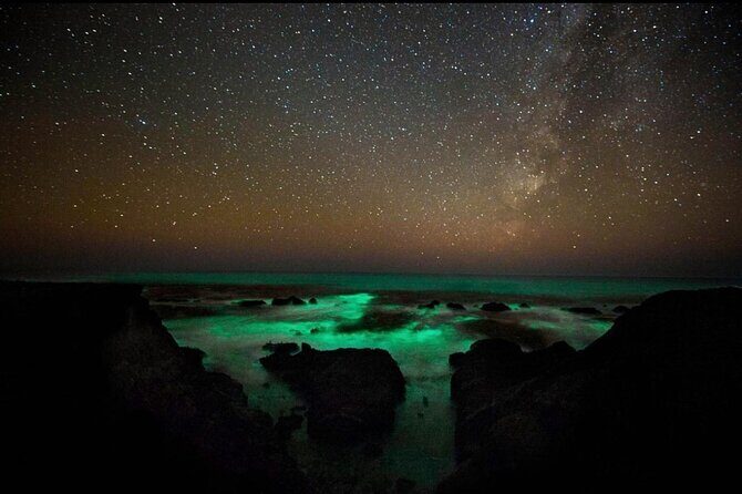 Bioluminescence and Sunset Kayak Tour in the San Juan Islands - Who Should Consider This Tour?