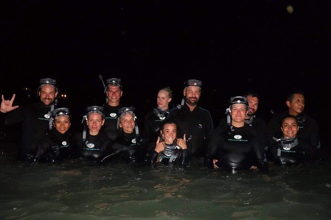 Bioluminescence Experience in Holbox - How Does It Compare in Value?