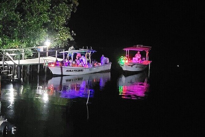 Bioluminescence in Manialtepec Night Tour from Huatulco - The Practicalities: What to Know Before Booking