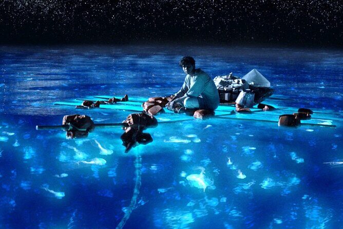Bioluminescence Kayak Holbox Night Eco Tour & Stargazing - Practicalities and Value