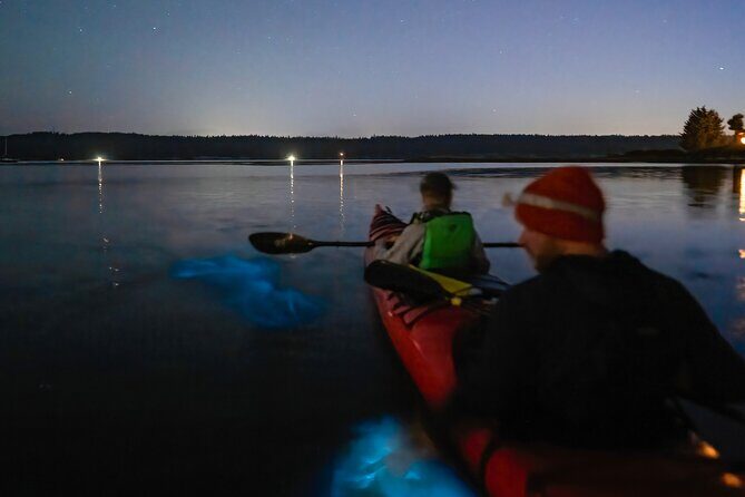 Bioluminescence Kayak Tour at Fort Flagler State Park - Who Should Consider This Tour?