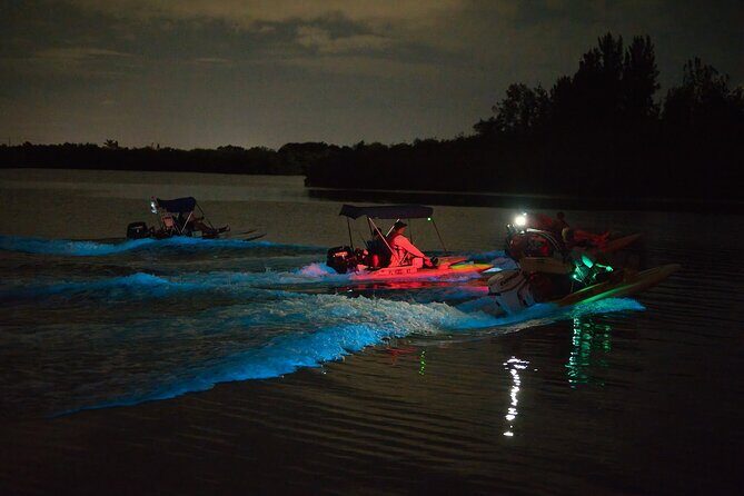Bioluminescence Night Craigcat Tours - The Sum Up