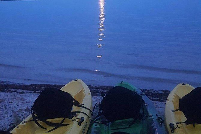 Bioluminescence Night Kayaking Tour of Merritt Island Wildlife Refuge - Why Guides Make a Difference