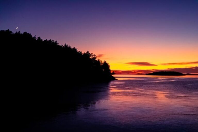 Bioluminescence Night Paddle - Final Thoughts