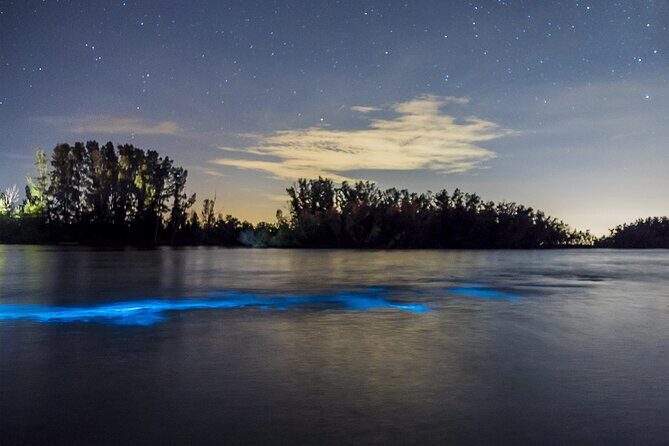 Bioluminescent Clear Kayak Tours in Titusville - Who Should Book This Tour?
