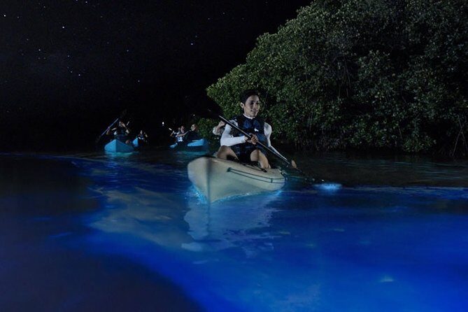 Bioluminescent Kayak Tour by THE #1 Rated Company in Cocoa Beach - Why You Should Consider This Tour