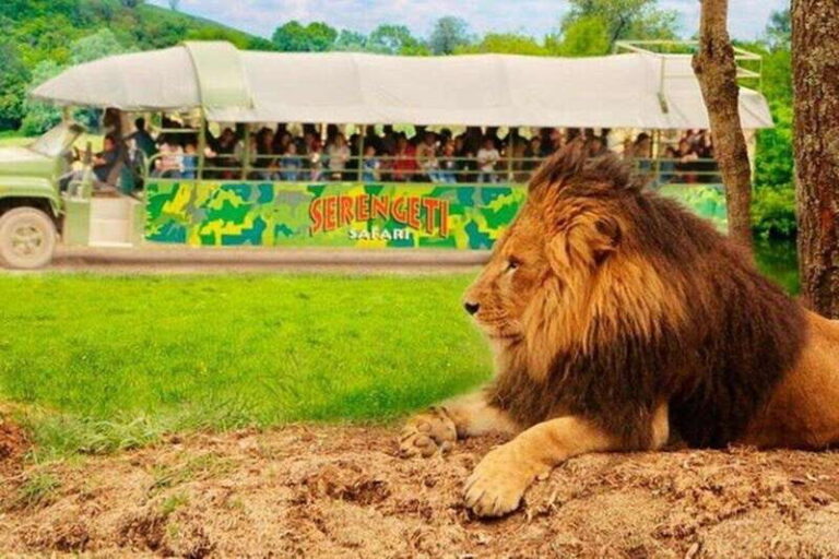 Bioparque Estrella Safari Experience Ticket - The Itinerary Breakdown
