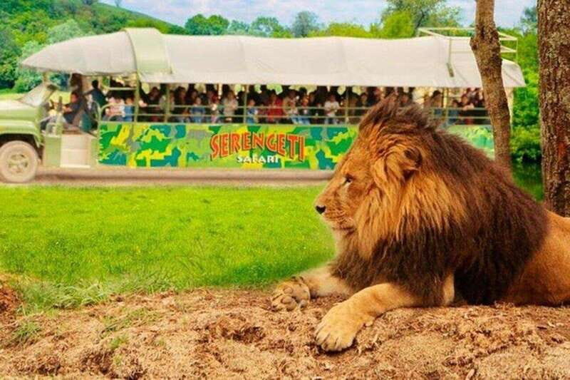 Bioparque Estrella Safari Experience Ticket - The Itinerary Breakdown