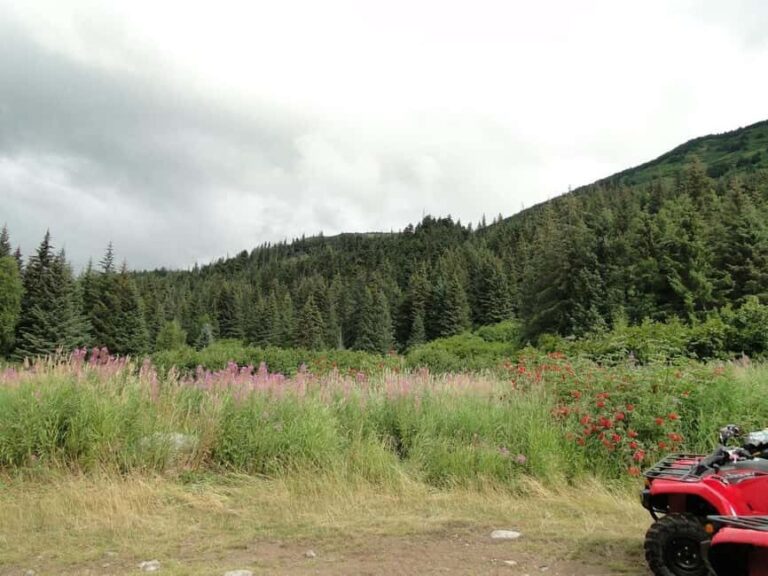 Bird Creek: Chugach State Park ATV Nature Tour & Hike - Value and Practical Considerations