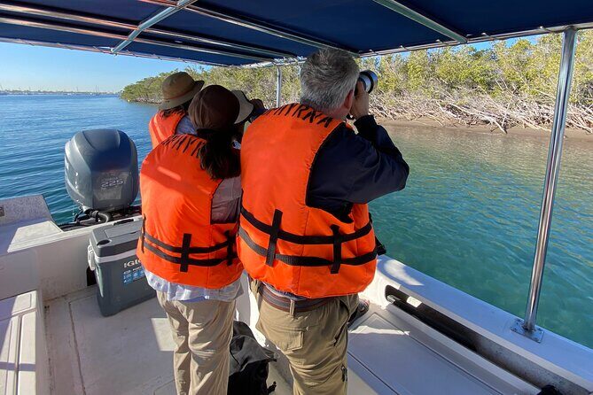 Birding By Sea and Land 4hr. La Paz Mexico - A Deep Dive into the La Paz Birding Experience