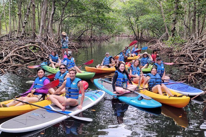 Biscayne Bay Island and Nature Exploration - The Sum Up
