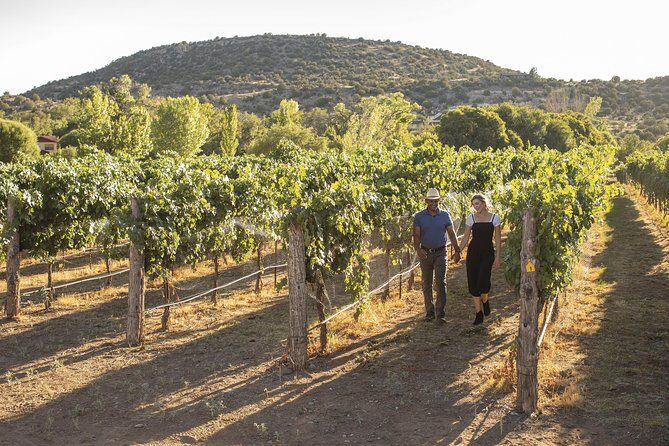 Bliss - Sedonas Most Luxurious Wine Tour - Lunch Included! - The Guide’s Role: Knowledge and Hospitality