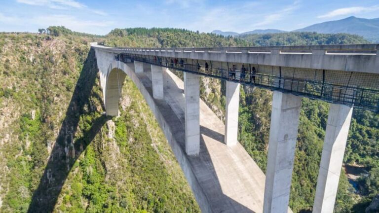 Bloukrans Bridge: Zipline, Hangout, and SkyWalk Adventure - Who Will Love This Experience?