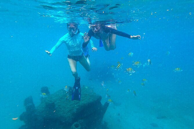 Blue Heron Bridge Guided Snorkel Tour - Who Is This Tour Best For?