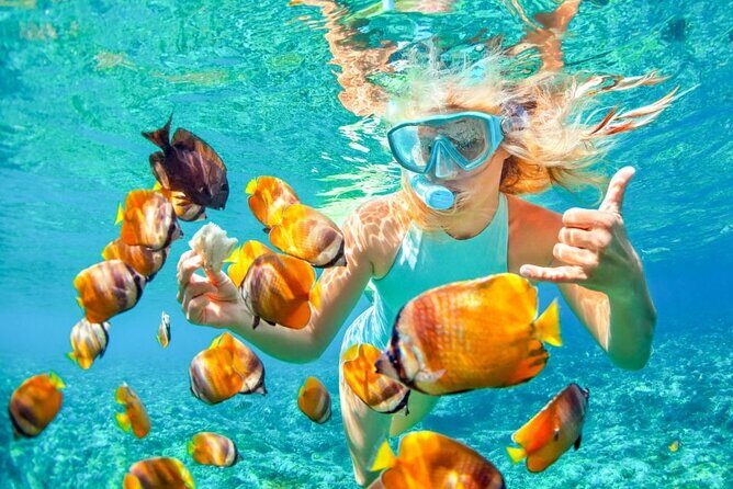 Blue Lagoon Snorkling activities - Why We Think This Tour is Worth It
