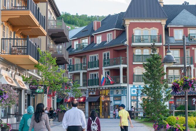 Blue Mountains Shuttle from Toronto  Village or Scenic Caves - The Experience and Its Benefits