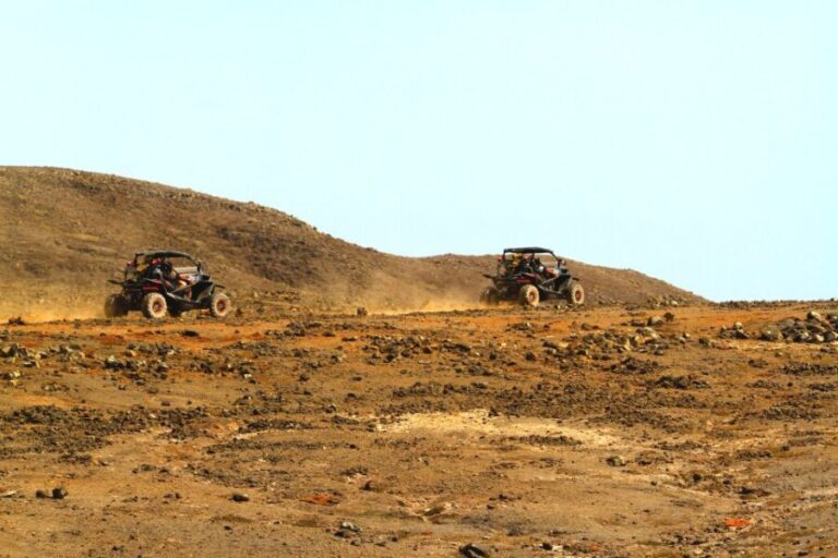 Boa Vista: 2-Hour Buggy 1000cc North Island Adventure - Authentic Experiences and Review Highlights