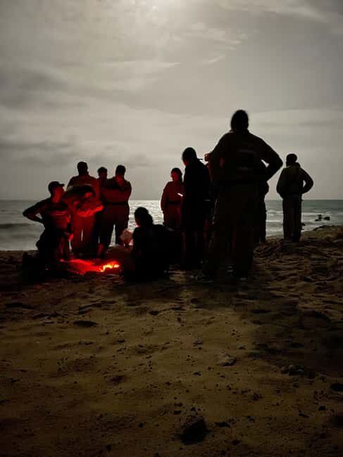 Boa Vista: 3h Turtle Watching Expedition - Overview of the Tour Experience
