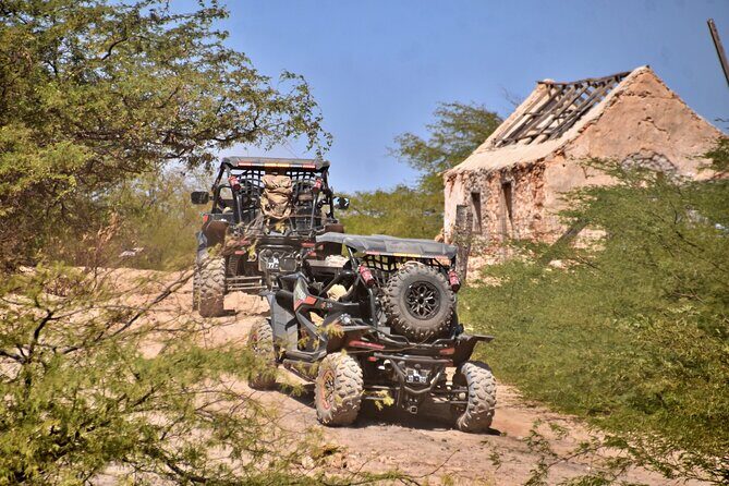 Boa Vista 4h South Buggy Adventure 1000cc - Practical Tips for a Smooth Experience