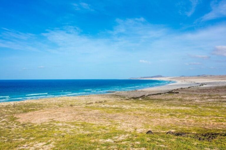 Boa Vista Full Day 4x4 Island Tour with Beachfront Lunch - Practical Details and Value
