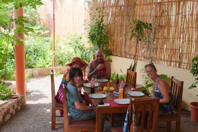 Boa Vista: Snorkeling at Gatas Bay & North East Tour - What the Tour Includes and How It’s Structured
