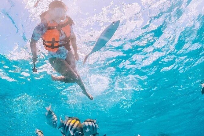 Boat and Snorkel Tour to 5 Islands of Los Arcos - Who Is This Tour Best For?