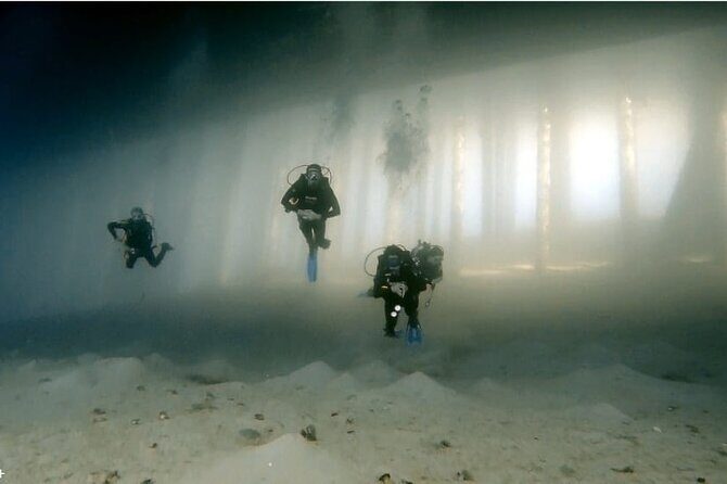 Boat Dive 2 Guided Dives with Lunch Included wreck dive&reef dive - Why This Tour Offers Great Value