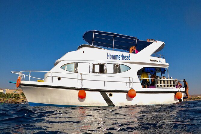 Boat Dive and Snorkeling Experience in Aqaba - The Value of This Experience