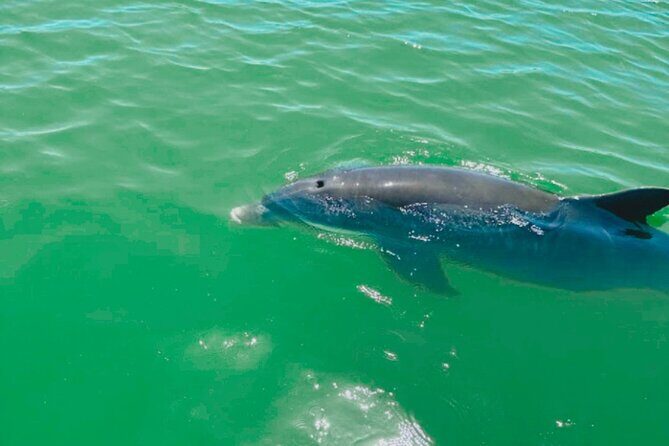 Boat Rentals to Shell Key, Treasure Island and St. Pete Beach - FAQ