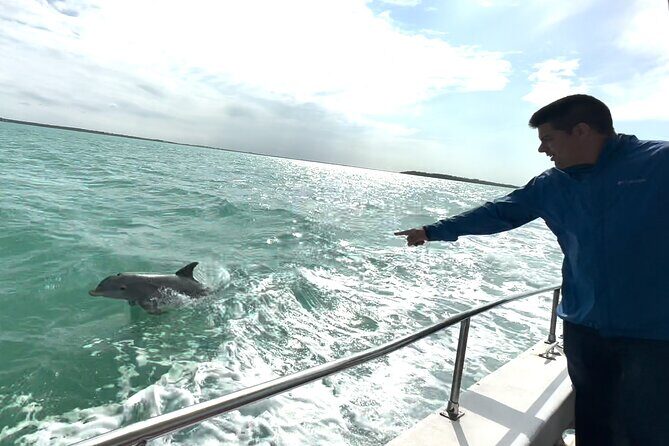 Boat & Yacht Tour Amazing Sandbar Adventure, Water Toys & Snorkel - Why This Tour Could Be a Good Fit