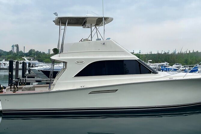 Boating or Fishing Charter Chicago's Lake Michigan - The Value and Who It’s For