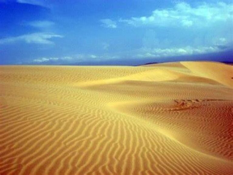 Boavista: 4h Shipwreck, Desert, Fatima Chapel & Pottery Tour - FAQ