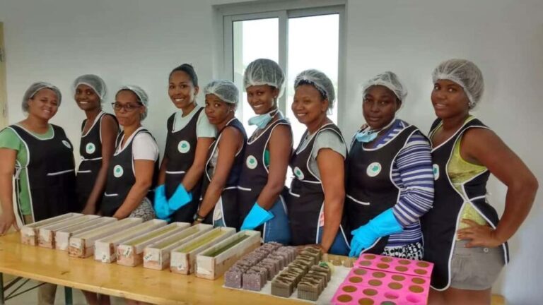 Boavista: Traditional & Local Experience Tour - Insight from Reviews