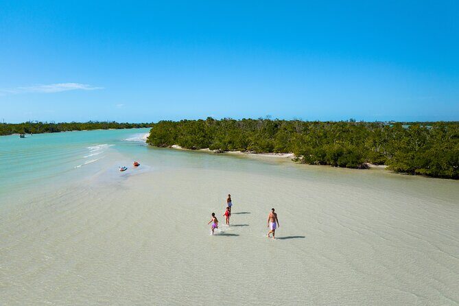 Boca Grande Kayaking Tour - Authentic Wildlife Spotting and Nature Insights