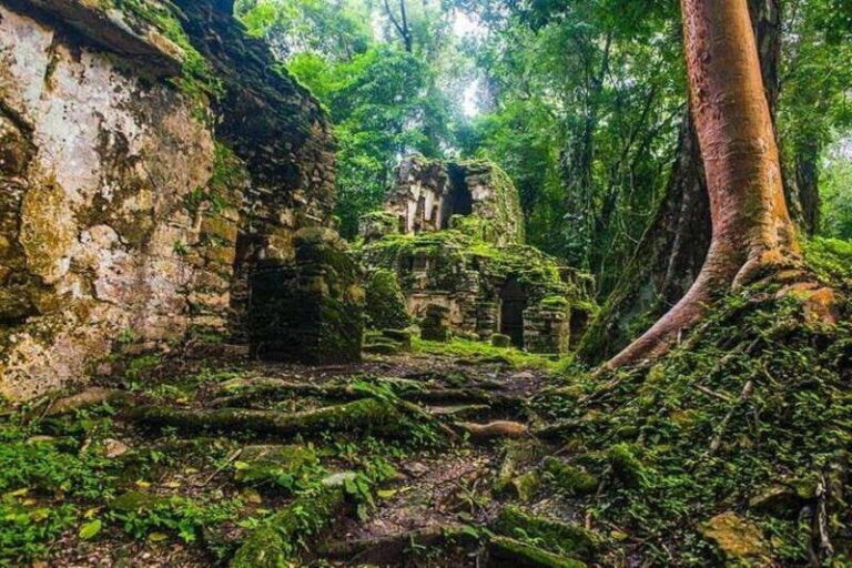 Bonampak & Yaxchilan archaeological sites & jungle - The Scenic Drive and Jungle Sounds