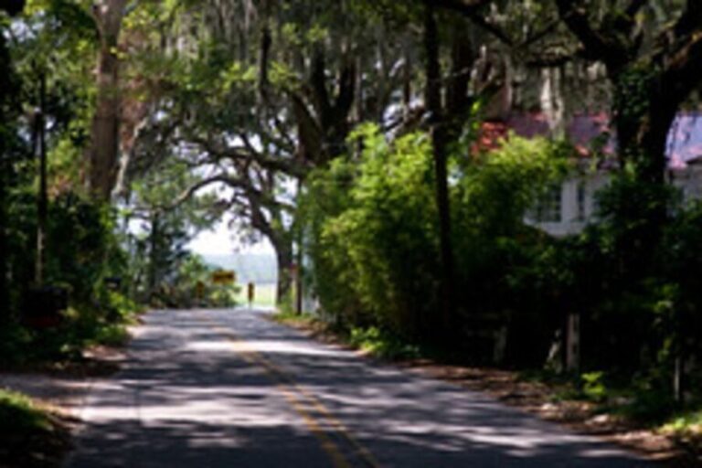 Bonaventure Cemetery & Wormsloe State Historic Site Tour - The Transportation and Logistics