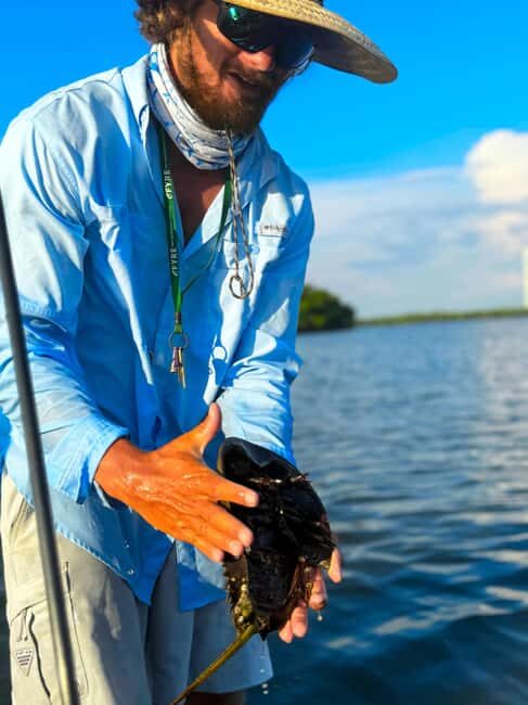 Bonita Springs: Kayak Tour with Manatees, Dolphins Sightings