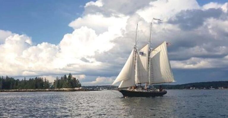 Boothbay Harbor: Schooner Apple Jack Daytime Sailing Cruise - Wildlife and Natural Encounters