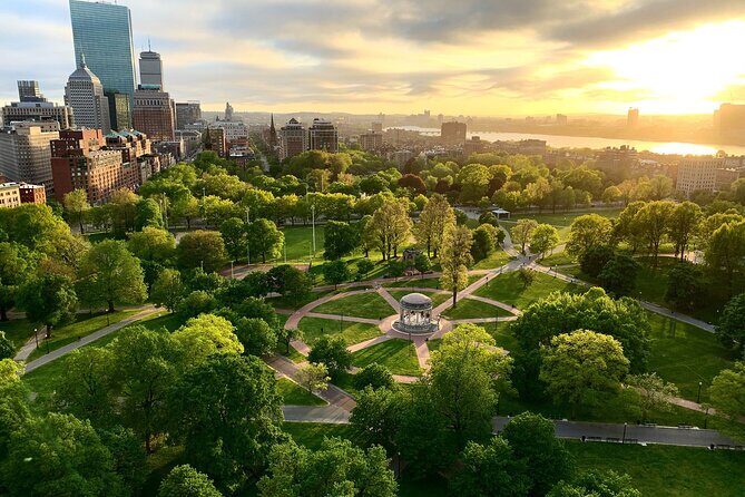 Boston & Cambridge Icons: Private 7-Hour Discovery Tour - Conclusions: Who Will Love This Tour?