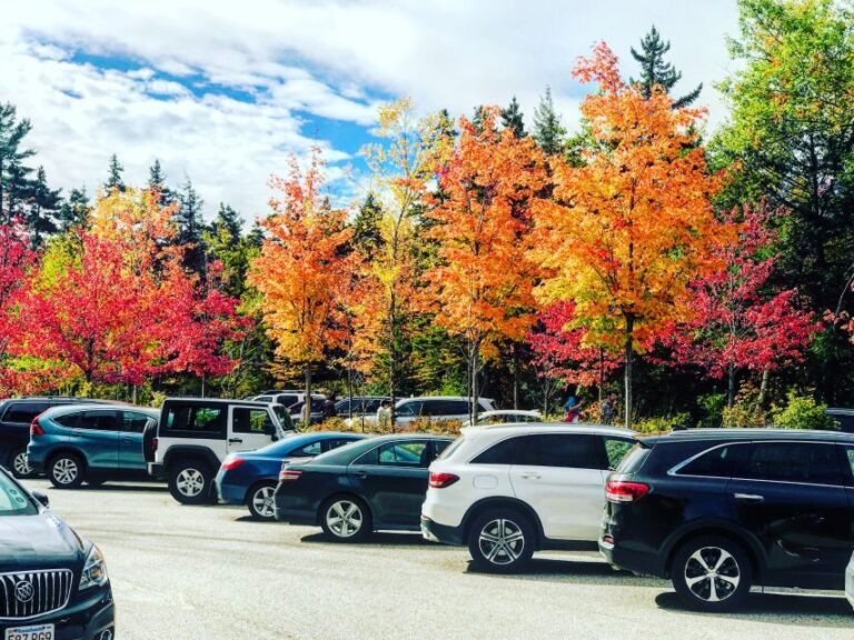 Boston: Fall Foliage Tour - Timing and Duration