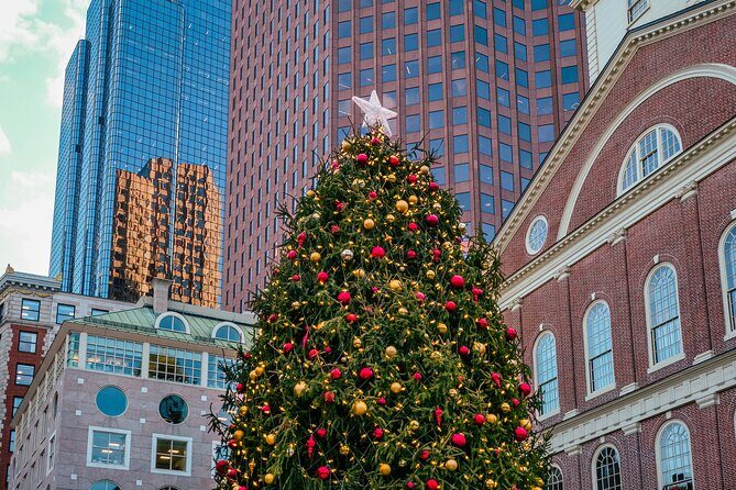 Boston Holiday Donut Adventure by Underground Donut Tour - What to Expect During the Tour