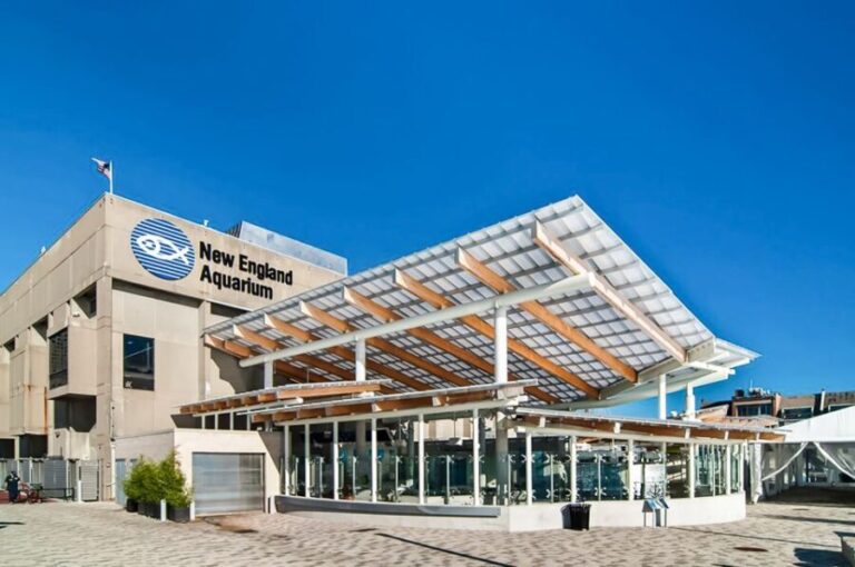 Boston: New England Aquarium Entry + Optional Simons Theatre - A Closer Look at What You Can Expect