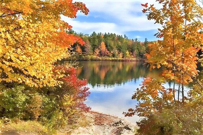 Boston to New Hampshire Fall Foliage White Mountains Day Trip - Why This Tour Works Well for Travelers