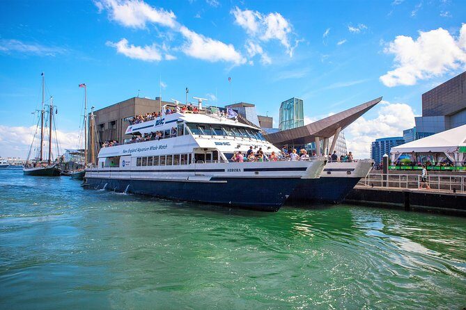 Boston Whale Watching Cruise by High-Speed Catamaran - Authentic Experiences from Reviews